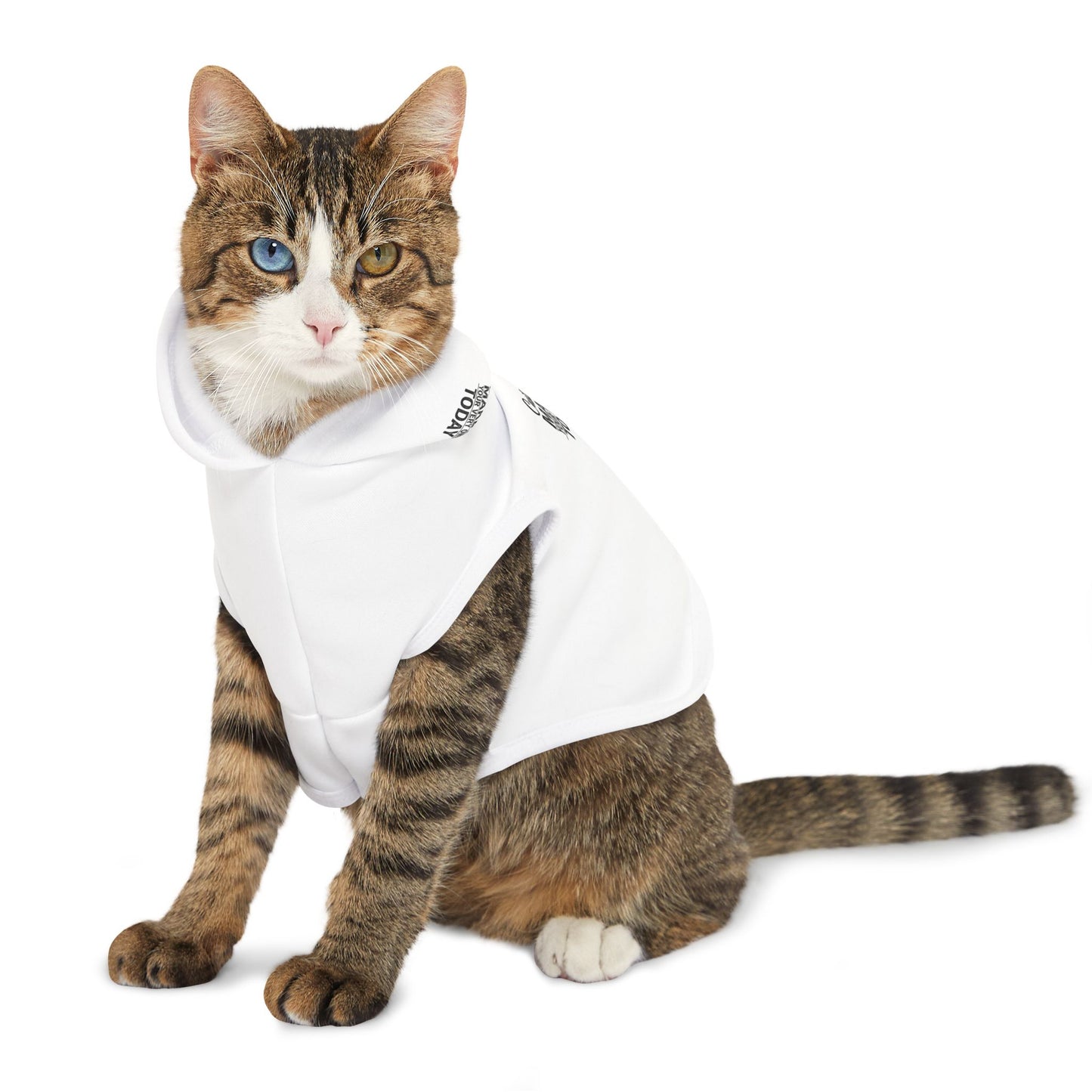 Customized Pet Hoodie