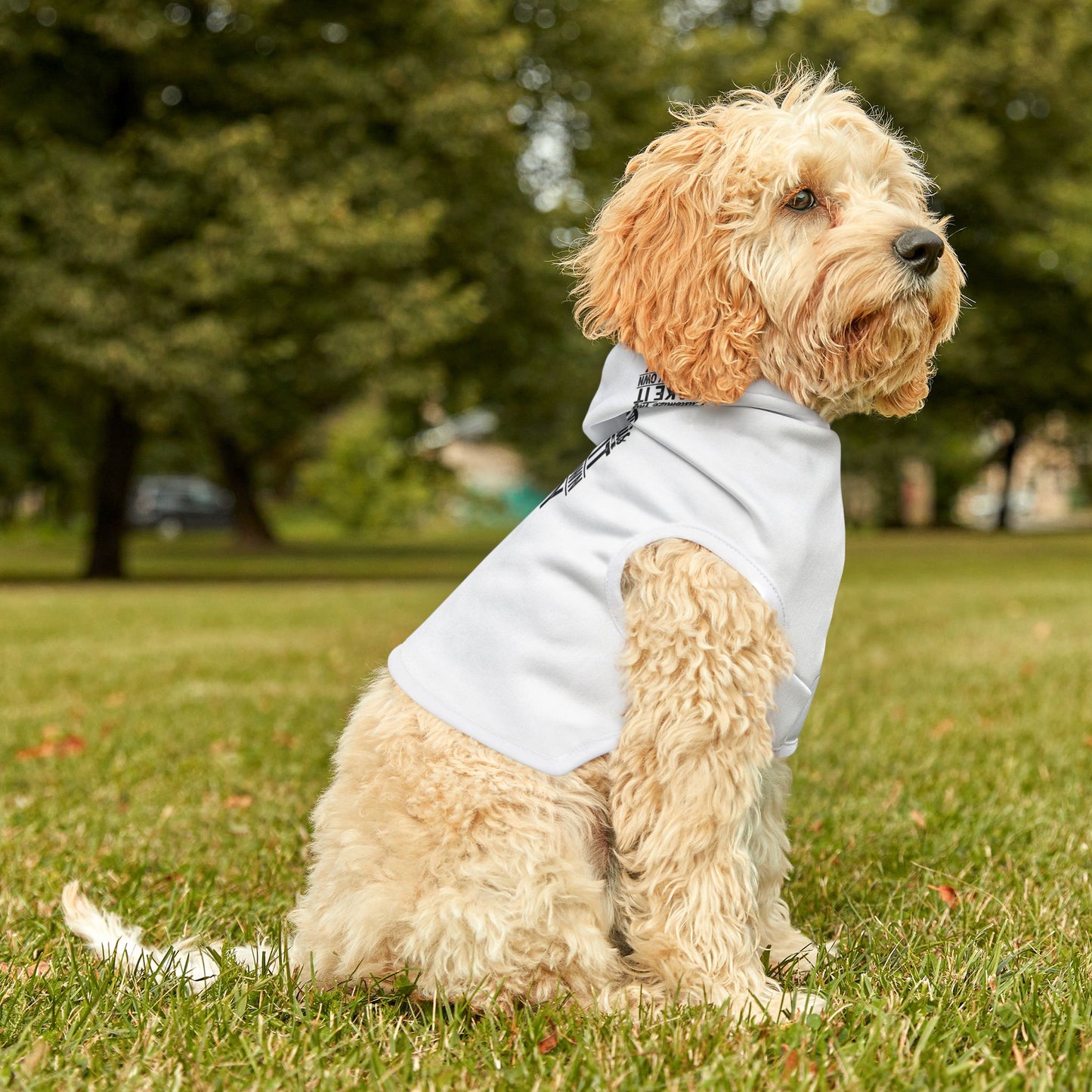 Customized Pet Hoodie